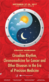 Strategic Workshop: Circadian Rhythm, Chronomedicine for Cancer and Other Diseases in the Area of Precision Medicine