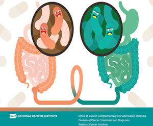 NCI Convenes Workshop on Reproducibility of Fecal Microbiota Transplants in Cancer Therapeutics