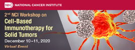 DCTD Convenes Second Workshop on Cell-Based Immunotherapy for Solid Tumors