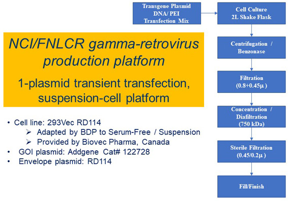 Schematic demonstrating the steps in retrovirus production