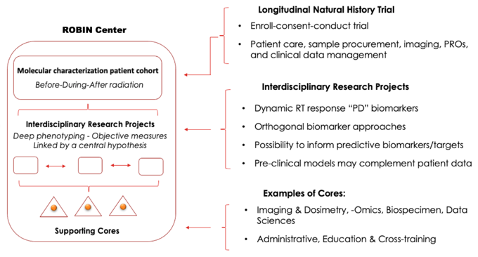 ROBIN Center Structure