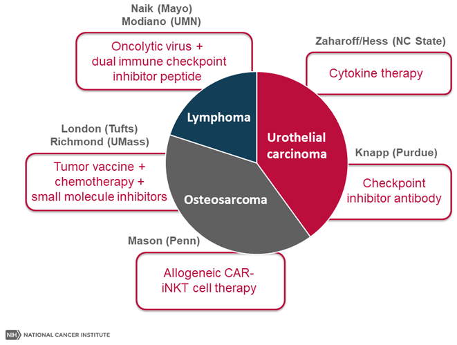 PRECINCT 2022 Immunotherapeutic Strategies