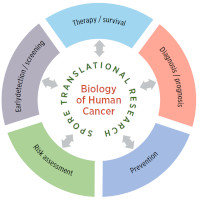 Translational Research SPORE graphic