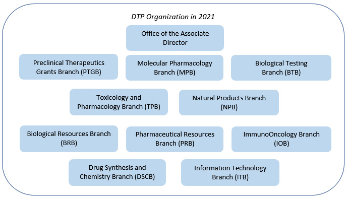 DTP Organization in 2021