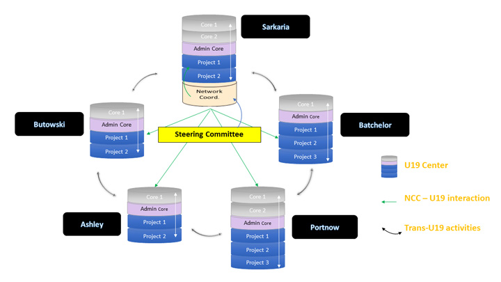 Graph showing the Steering Committee