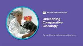 Unleashing Comparative Oncology