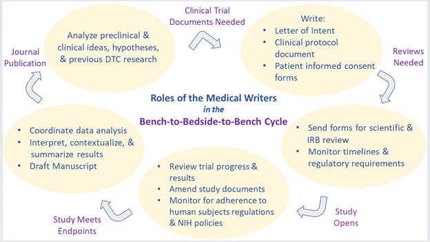 Roles of the Medical Writers in the Bench-to-Bedside-to-Bench Cycle