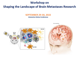 Workshop on Shaping the Landscape of Brain Metastases Research
