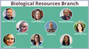 Staff Highlight: The Biological Resources Branch in DCTDs Developmental Therapeutics Program