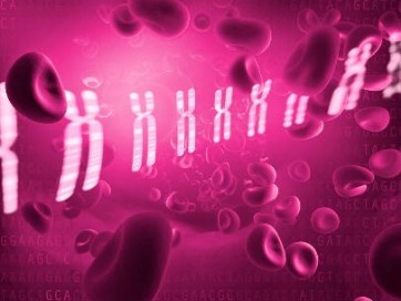 Conceptual image of blood cells on a hot pink background, along with chromosomes.