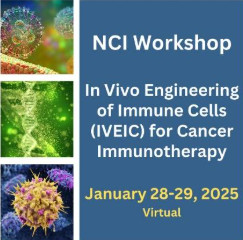 NCI Workshop In vivo engineering of immune cells (IVEIC) for cancer immunotherapy; January 28-29, 2025, Virtual