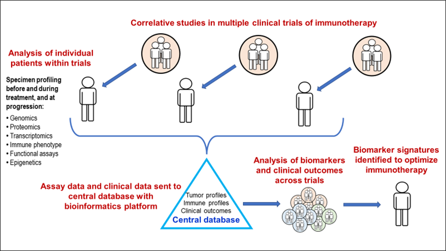 Diagram depicting the CIMAC-CIDC Network workflow: Biomarker and clinical data from CIMAC-CIDC correlative studies in clinical trials are sent to a central database to enable cross-trial analysis for biomarker discovery.