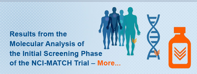 NCI Division Of Cancer Treatment And Diagnosis (DCTD)