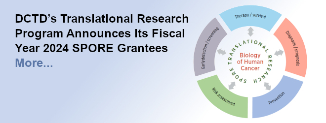 DCTD’s Translational Research Program Announces Its Fiscal Year 2024 SPORE Grantees