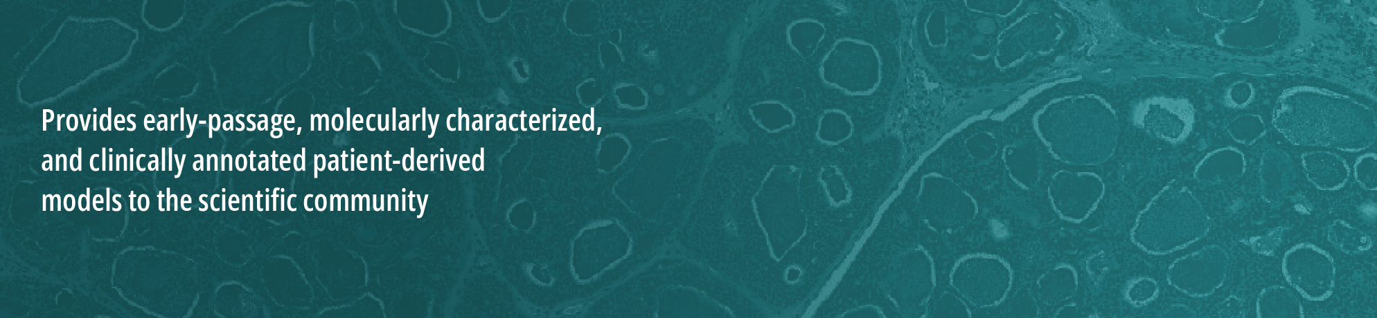 Green background close-up of a cell slide. White text on the left that states, “provides early-passage, molecularly characterized, and clinically annotated patient-derived models to the scientific community.”
