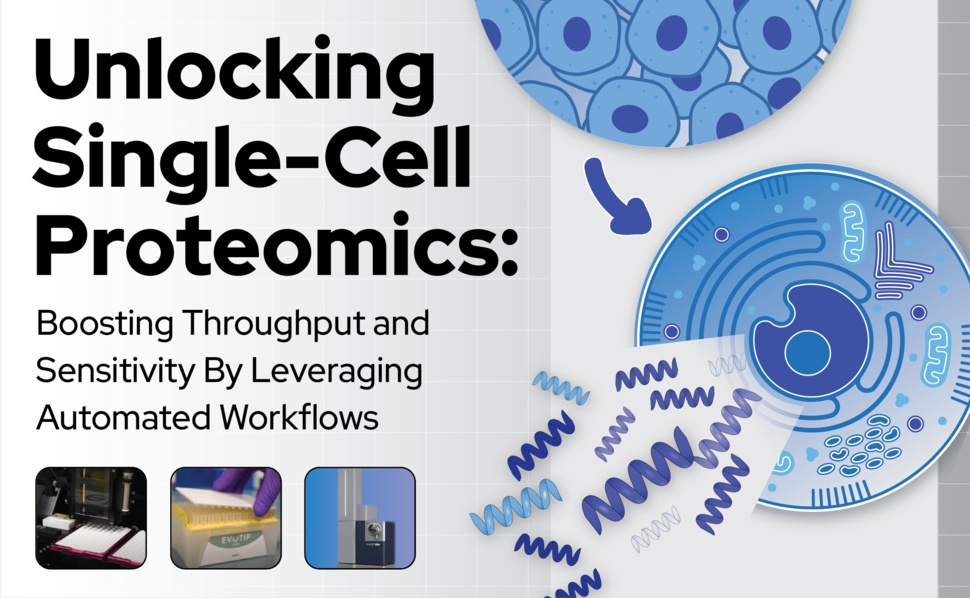 Unlocking single-cell proteomics: boosting throughput and sensitivity by leveraging automated workflows