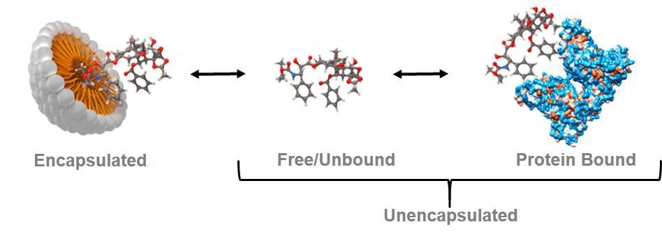 Stable Isotope Tracer Ultrafiltration Assay (SITUA) Image