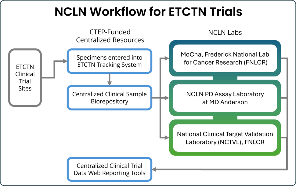 Specimens and information from ETCTN clinical trial sites flow through a series of four centralized NCLN resources: 1. Specimen tracking system 2. biorepository 3. The NCLN Labs 4. web reporting tools for clinical data