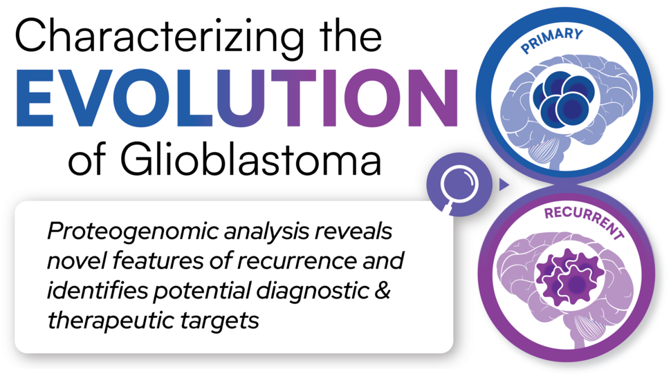 Characterizing the Evolution of Glioblastoma – Proteogenomic analysis reveals novel features of recurrence and identifies potential diagnostic & therapeutic targets