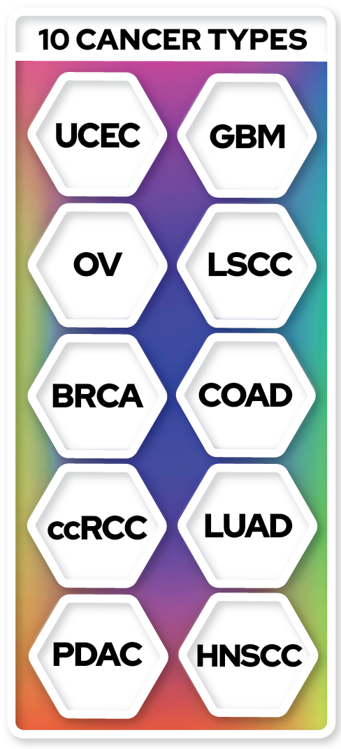 Ten Cancer Types used to identify potential therapeutic targets.