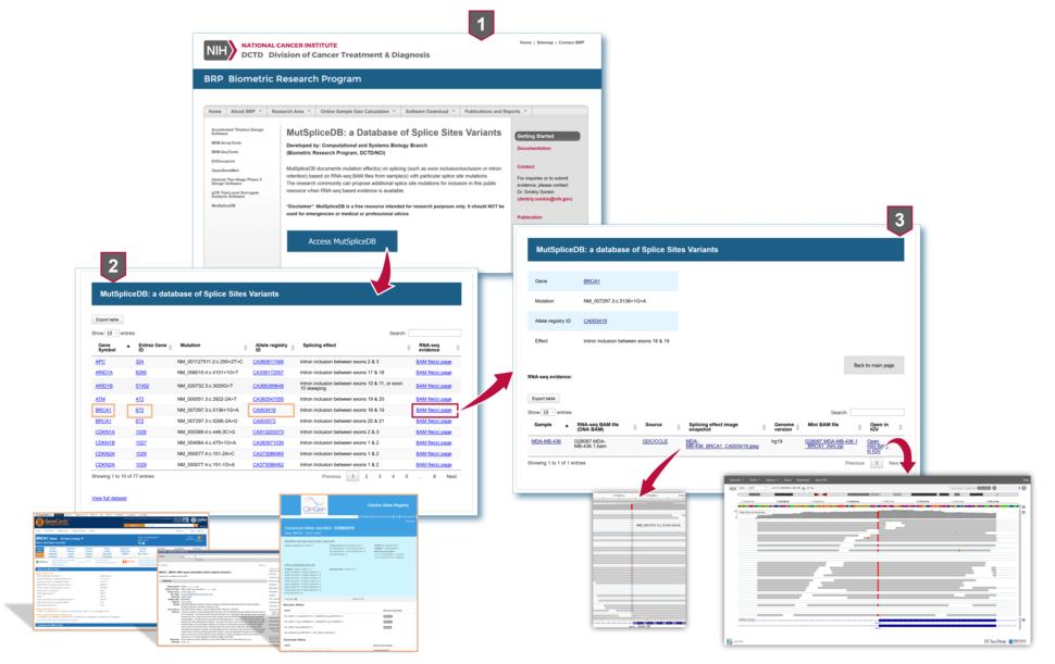 Multipanel figure showing different screenshot of the MutSpliceDB database in action. Detailed description of the panels and functionalities can be found in the caption and publication.