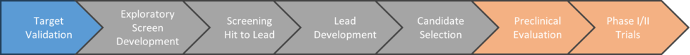 The different stages of drug discovery and development from left to right: target validation, exploratory screen development, screen hit to lead, lead development, candidate selection preclinical development and phase 1 / 2 clinical trials 