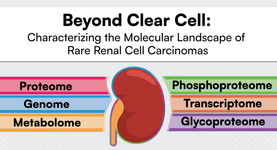 Beyond Clear Cell: Characterizing the Molecular Landscape of Rare Renal Cell Carcinomas using Proteome, Phosphoproteome, Genome, Transcriptome, Metabolome, Glycoproteome.