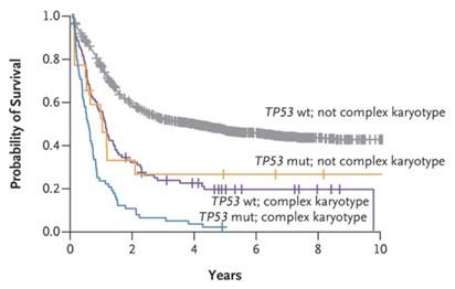 Graph showing Complex Karyotype and TP53 mutations are associated with poor prognosis.  