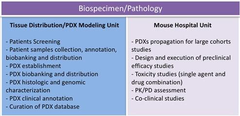 Table listing the mission of Tissue Distribution slash PDX Modeling Unit and the Mouse Hospital Unit in the Biospecimen Pathology Core
