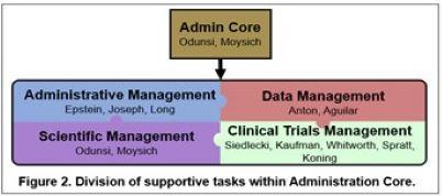 Divisions of the supportive tasks within the Administrative Core