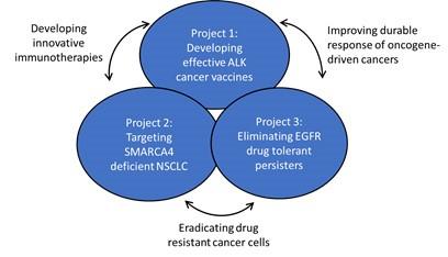 Illustration of Projects in the SPORE