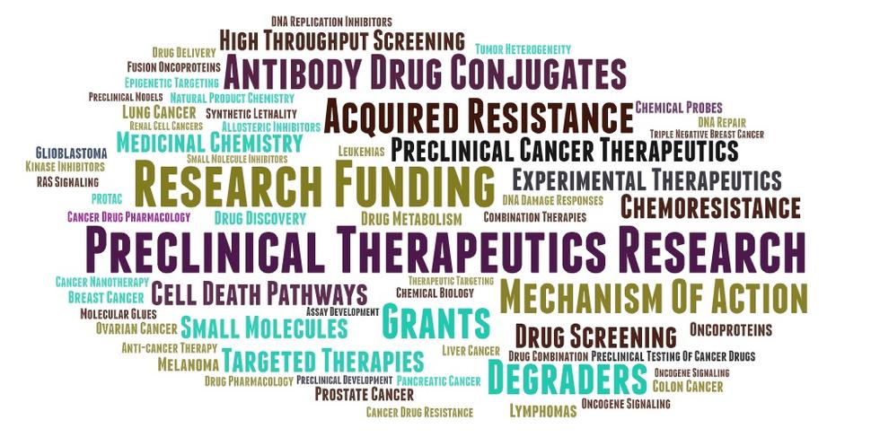 Word Cloud for the PTGB 
