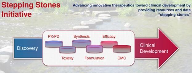 Stepping Stones Initiative 
