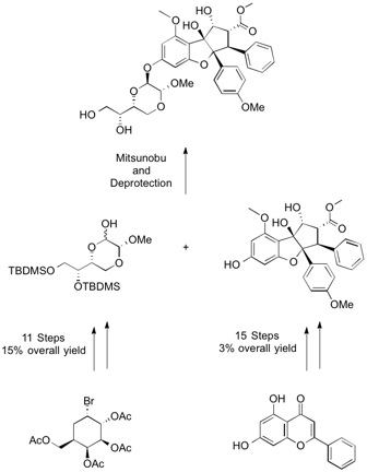 DSCB synthesis of the RNA helicase inhibiting natural product silvestrol. 