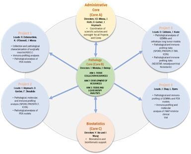 This figure shows the interactions of the projects and cores with the Molecular Pathology and Tissue Resource Core