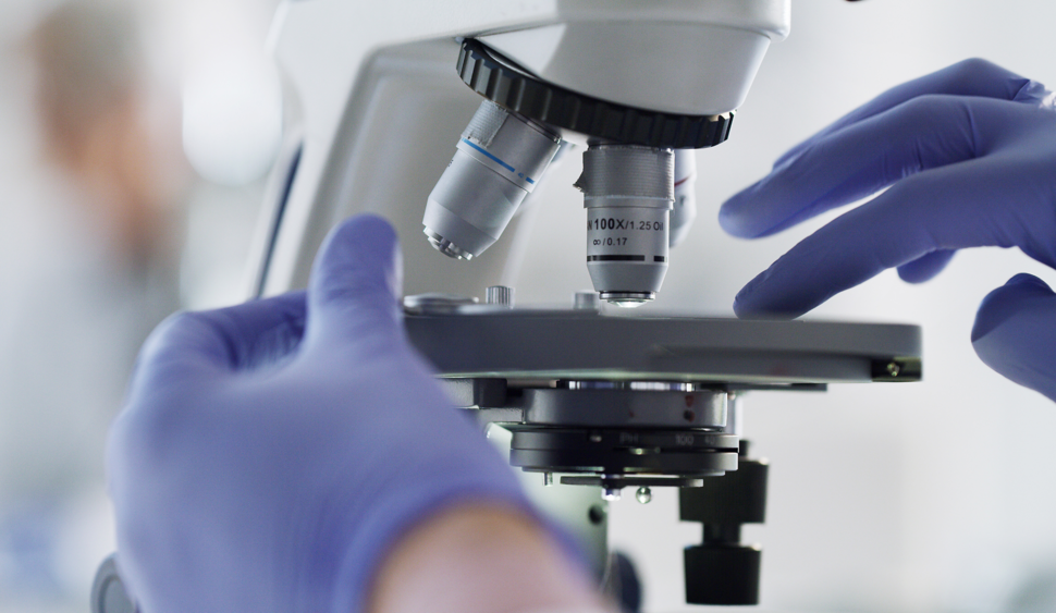 Gloved hands operate a microscope