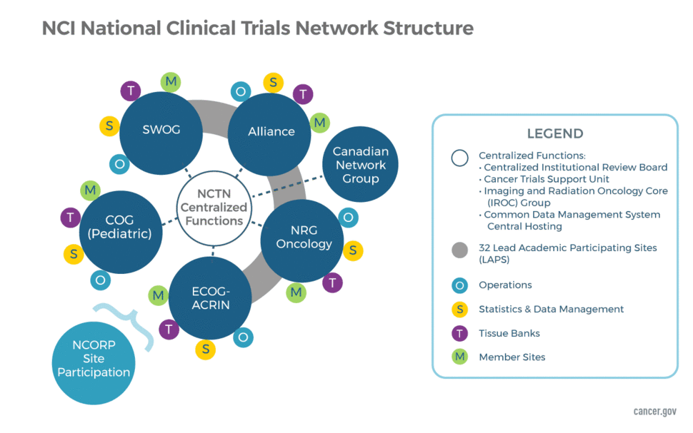 Graphic depicting the organization of the NCTN groups around the NCI core infrastructure. Each Group has four components: Operations, Statistics, Biobank, and Member Sites. NCORP and LAPS sites participate across the network as well.