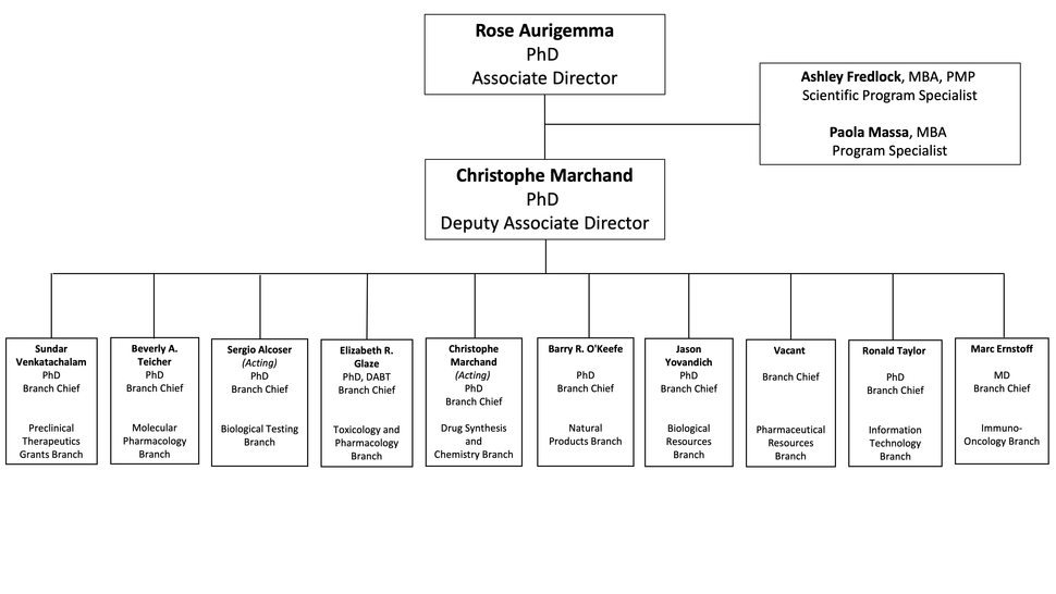 DTP Organization Chart