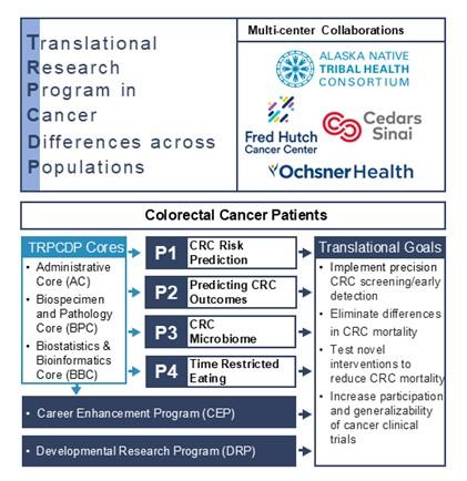 Visual representation of the overall TRP in Cancer Differences across Populations SPORE