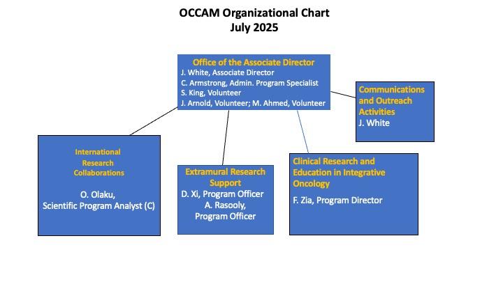 A chart showing the organizational structure of the Office of Cancer Complementary and Alternative Medicine. The Office of the Associate Director is at the top with staff in International Research Collaborations, Extramural Research Support, Clinical Research and Education in Integrative Oncology, and Communications and Outreach Activities reporting to it.