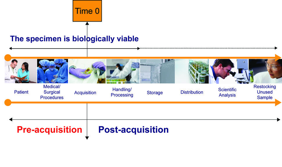 The lifecycle of a biospecimen