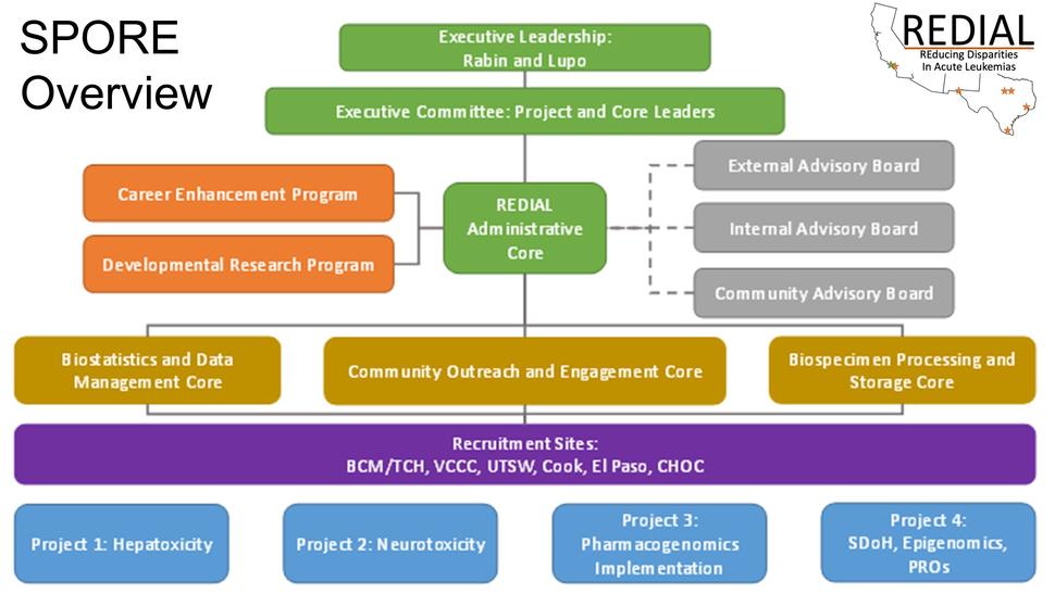 This is a diagram of an overview of the SPORE.