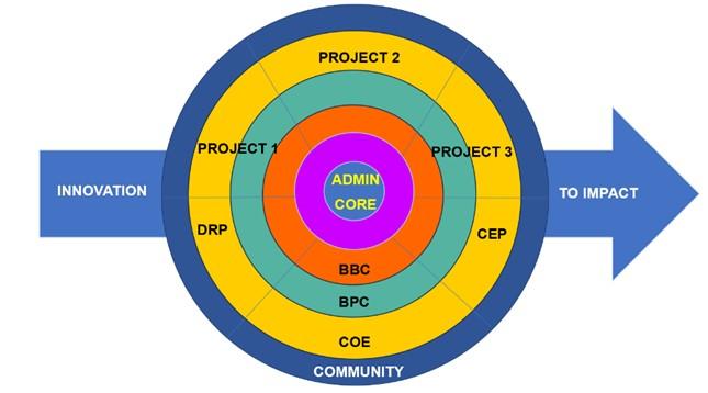 This figure shows the integration of the Projects, Cores and Programs.