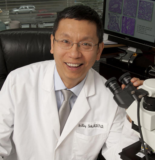 Headshot of le-Ming Shih, M.D., Ph.D.