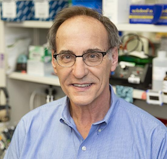 Headshot of Steven Balk, M.D., Ph.D.