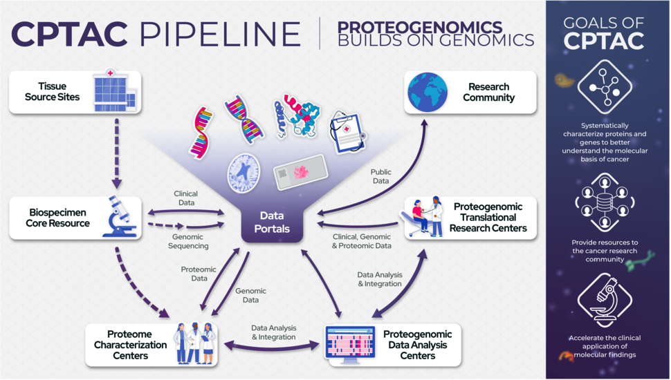 CPTAC Pipeline graphic