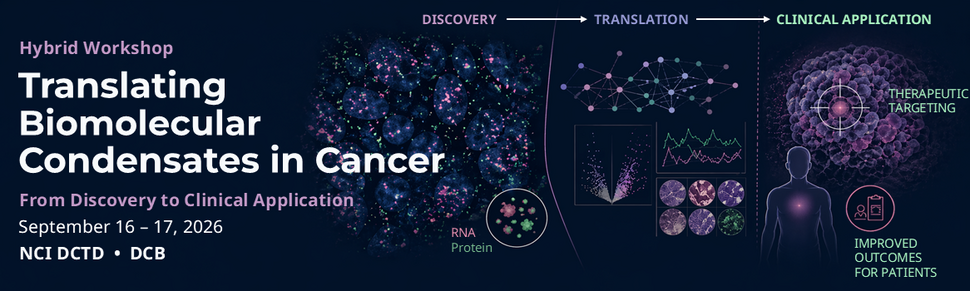 Hybrid Workshop: Translating Biomolecular Condensates in Cancer: From Discovery to Clinical Application