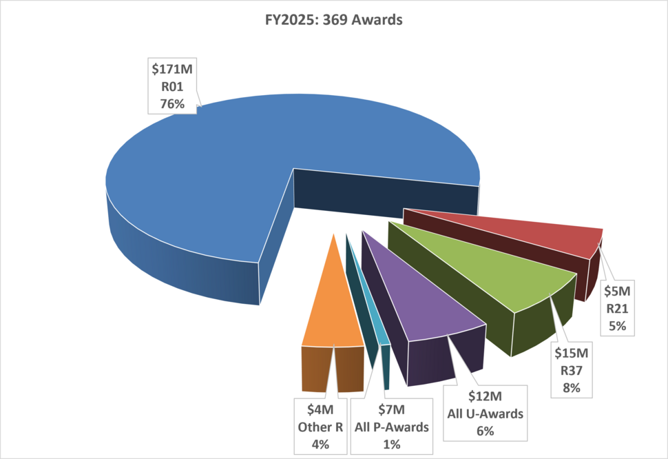 CIP FY2025 Awards