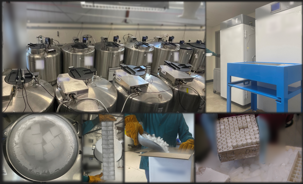 Liquid nitrogen freezers and repository workspace
