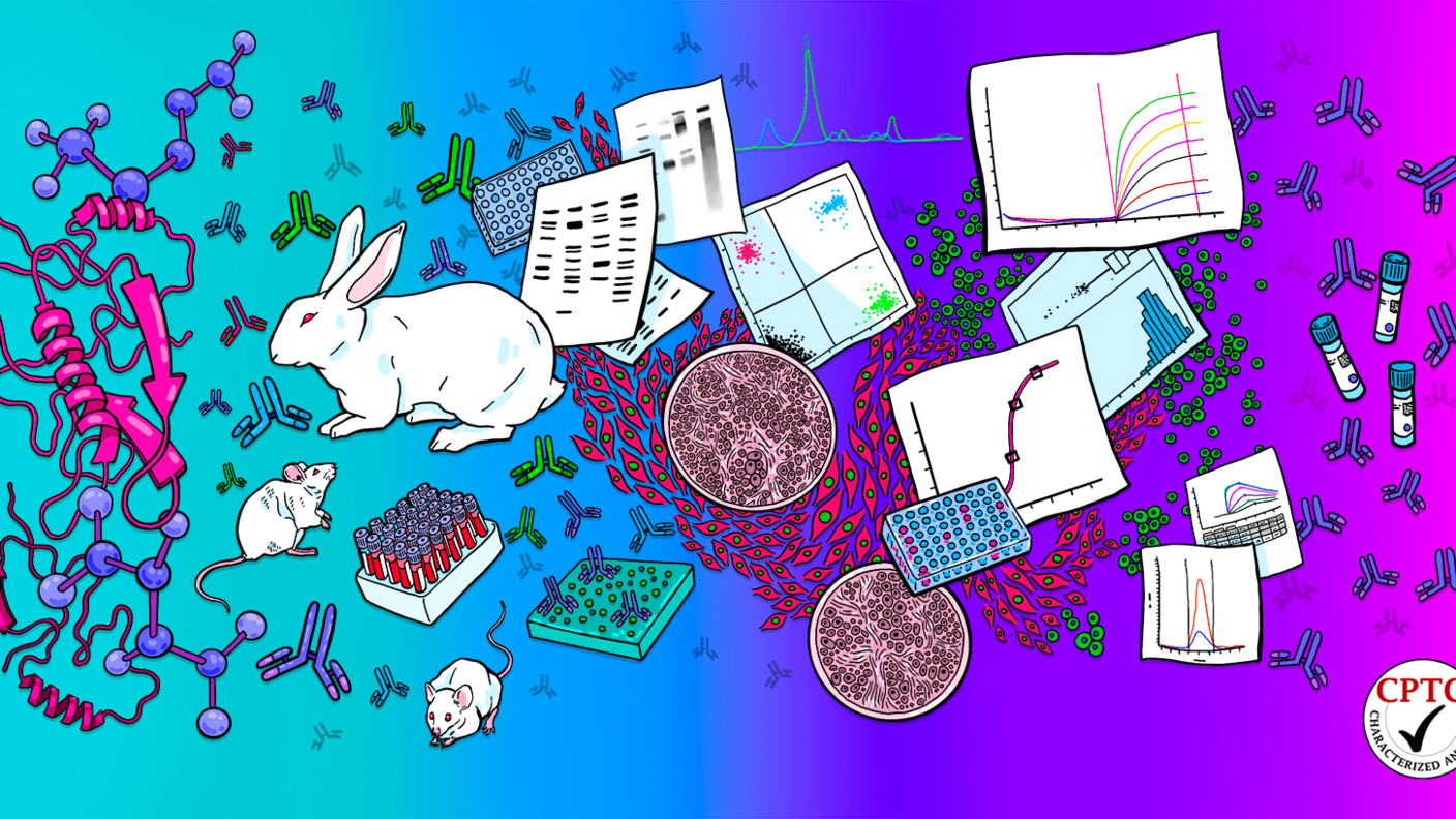 Illustration of scientific research elements: molecular structures, antibodies, animals (rabbit and mice), lab equipment (test tubes, petri dishes), and scientific charts. Logo in the bottom right corner reads "CPTC Characterized Antibody" with a checkmark.